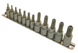 Klucze trzpieniowe YATO TORX security 12cz. na szynie