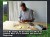 Zestaw do rzeźbienia Hobby – Ptaszek BeaverCraft DIY01
