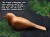 Zestaw do rzeźbienia Hobby – Ptaszek BeaverCraft DIY01