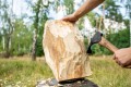 Cisło rzeźbiarskie BeaverCraft AX2
