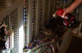 Latarka - lampa akumulatorowa LED Milwaukee M18 TLED-0 4932430361