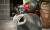 Nożyce do blachy 1.6mm Milwaukee M12FNB16