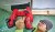 Zszywacz akumulatorowy Milwaukee M18FNCS18GS