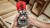 Frezarka górnowrzecionowa Milwaukee M18FTR8