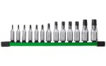 Klucze trzpieniowe TORX Milawukee kpl. 13 cz. T8 - T60 na szynie 4932480565