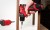 Zestaw Milwaukee M12™: wiertarko-wkrętarka M12BLDDRC, zakrętarka udarowa M12BLIDRC, lampa M12TLED, 2x aku. 2.0 Ah + ładowarka, w torbie, M12BLPP3A-202B 4933499694