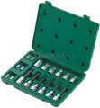 Klucze trzpieniowe, bity TORX 1/4 1/2 Sata kpl. 18 cz. 09052