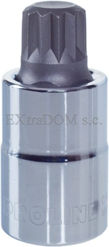 Bitonasadka spline Proline