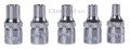Klucze nasadowe TORX 1/4 Rooks kpl. 5 cz. E4 - E8 01.2646